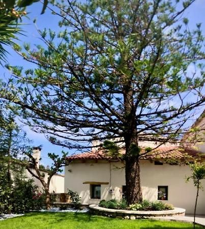 Chorio House Platanias Guest House Vrisai Bagian luar foto