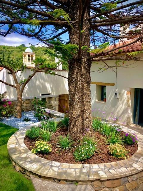 Chorio House Platanias Guest House Vrisai Bagian luar foto